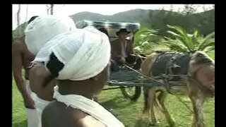 Comme Negras da senzala