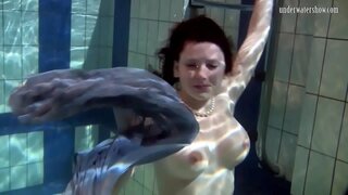 Kuogelea babe Paka hutawala chini katika bwawa la kuogelea